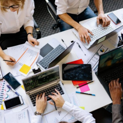 Employee Handbook & Policy Development