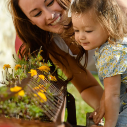 Allergy Treatment Services