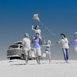 Managed Asset Plans