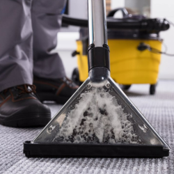 Carpet Cleaning Services
