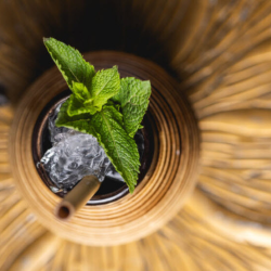 Herbal Liqueur for Mixology