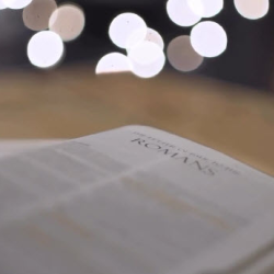 Bible Study