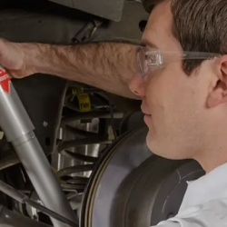 Shocks and Struts