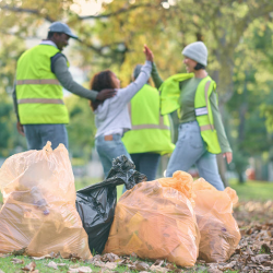 Trash & Recycling