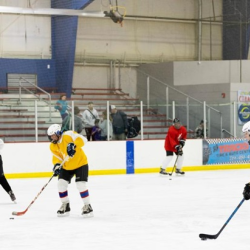 Adult Hockey