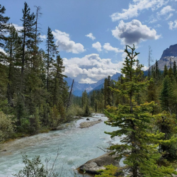 Ecosystem Enhancement