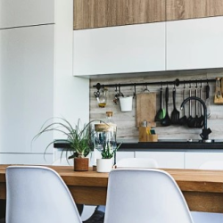 Inspection Visit and Pictures