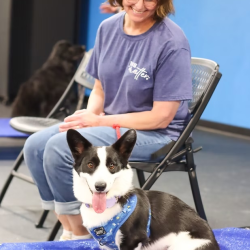 Companion Animal Program (CAP)