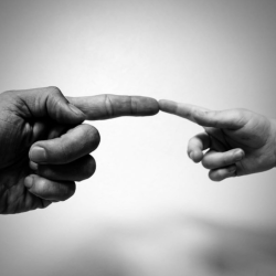 Physical & Emotional Abuse