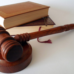 Expert Witness