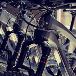 Bike Rentals