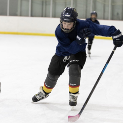 Stick and Puck