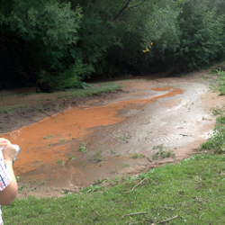 Water Quality