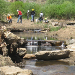 River Restoration