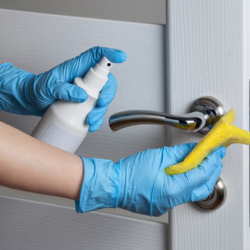 General Cleaning