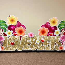 Backdrops and Party Props