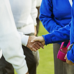 Club Committees and Roles