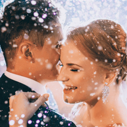 Bus Rentals for Weddings