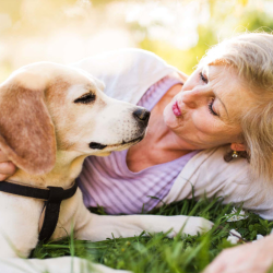 Pet Care