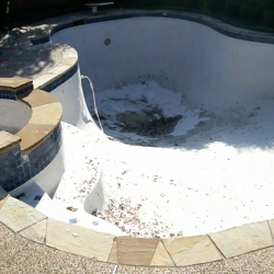 Pool Repair