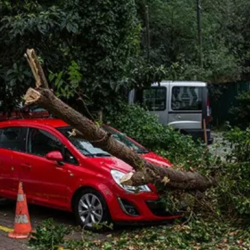Car Insurance