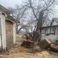 Stump Removal