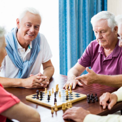 Social and Recreational Activities