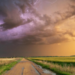 Storm Debris Removal