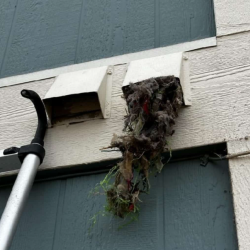 Dryer Vent Cleaning