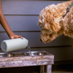 Whole Home Water Filters