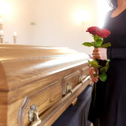 Traditional Services