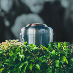 Cremation Services