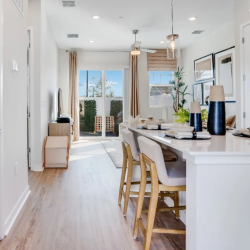 Floor Plans & Availability