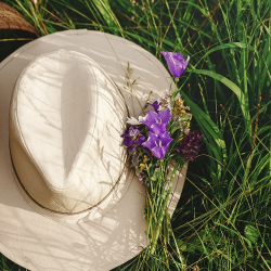 Natural Horsemanship