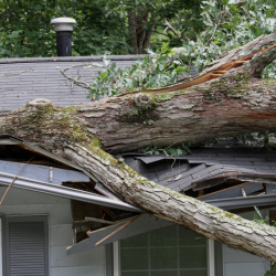Storm Damage Repair