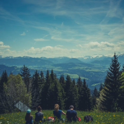 Insurance and Primary care