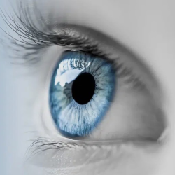 Dry Eyes
