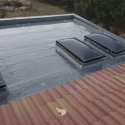 Roof Coatings