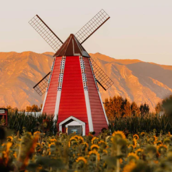 Countryside Atmosphere