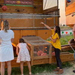 Smaller Crowds & Prices