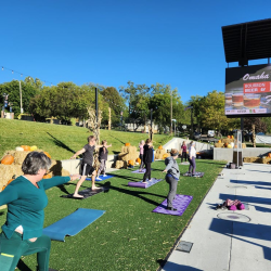 Park and Tree Commission