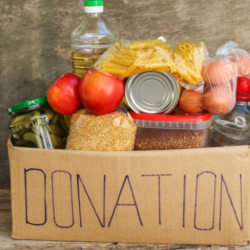 Volunteer or Donate
