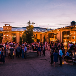 Ponderosa Courtyard