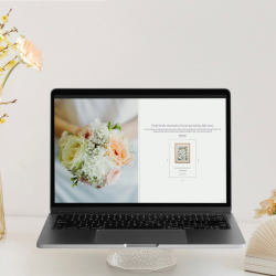 Shopify Website Design & Development