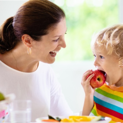 Child Nutrition Program