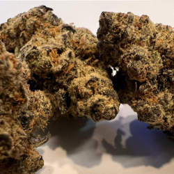 Concentrate