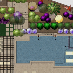 Landscape Design