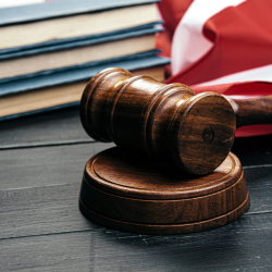 State & Federal Civil Litigation