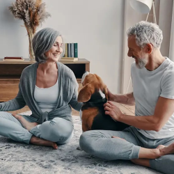 Individual Retirement Accounts