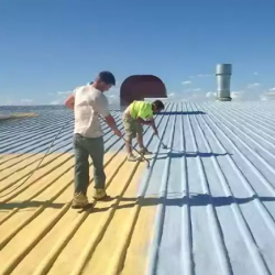Roof Coating